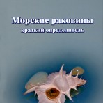 Морские раковины. Краткий определитель