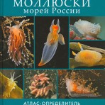 Атлас-определитель «Заднежаберные моллюски морей России»