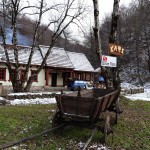 Кубок Нептуна 2009 Кубок Нептуна 2009